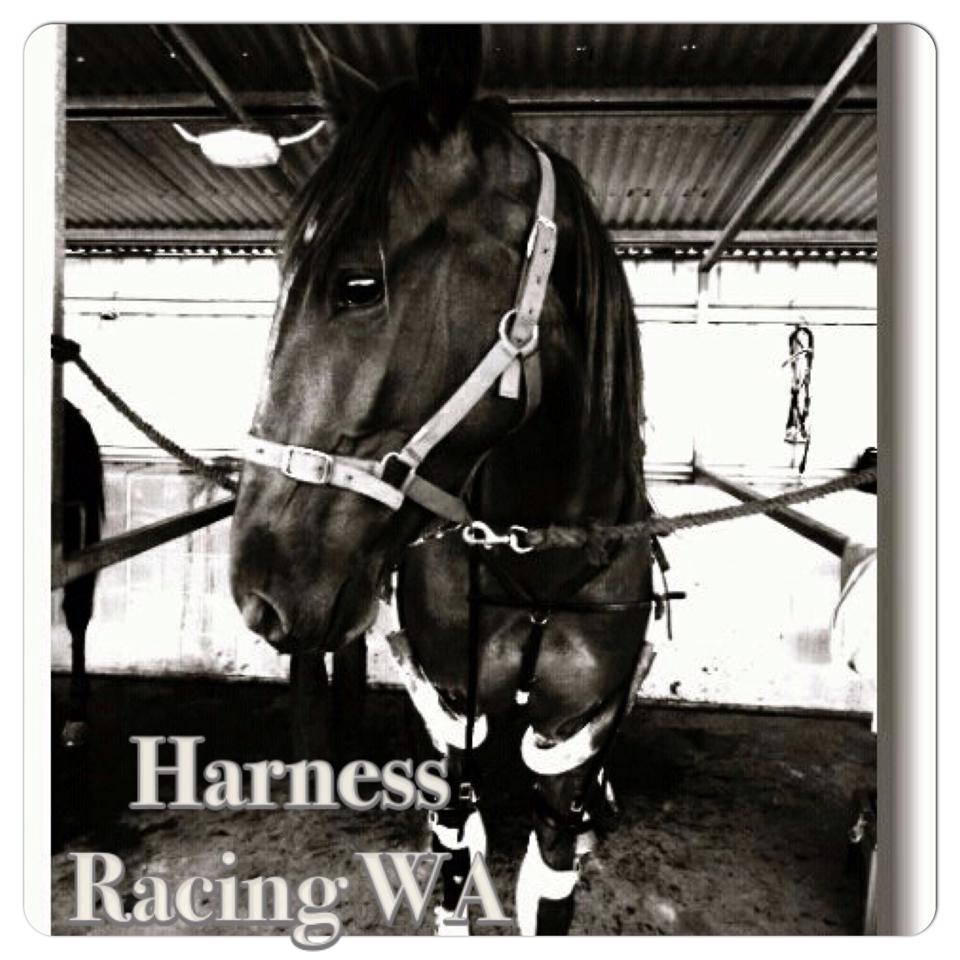 Harness Racing Western Australia