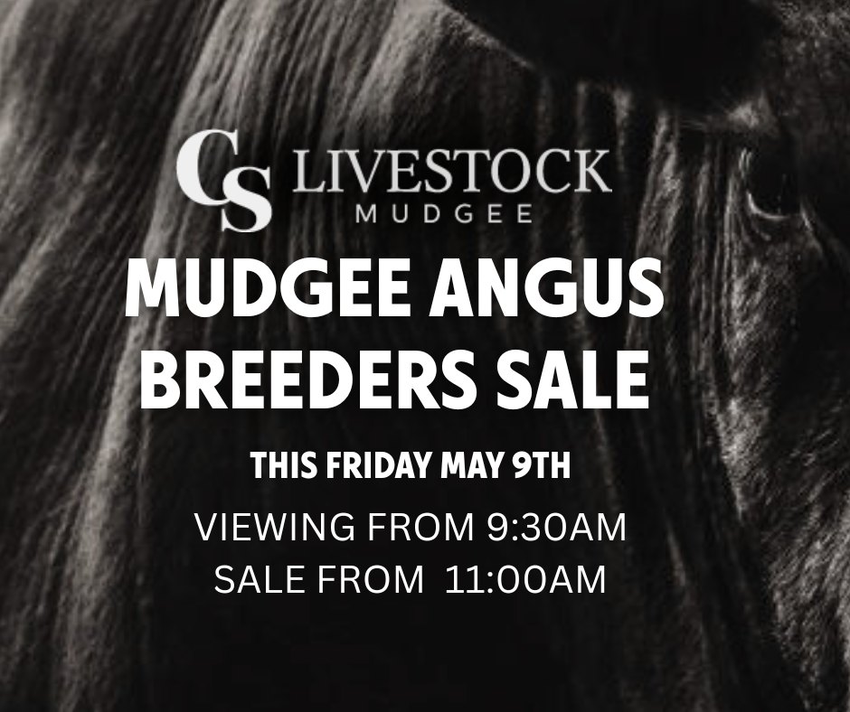CS Livestock Mudgee | Mudgee NSW