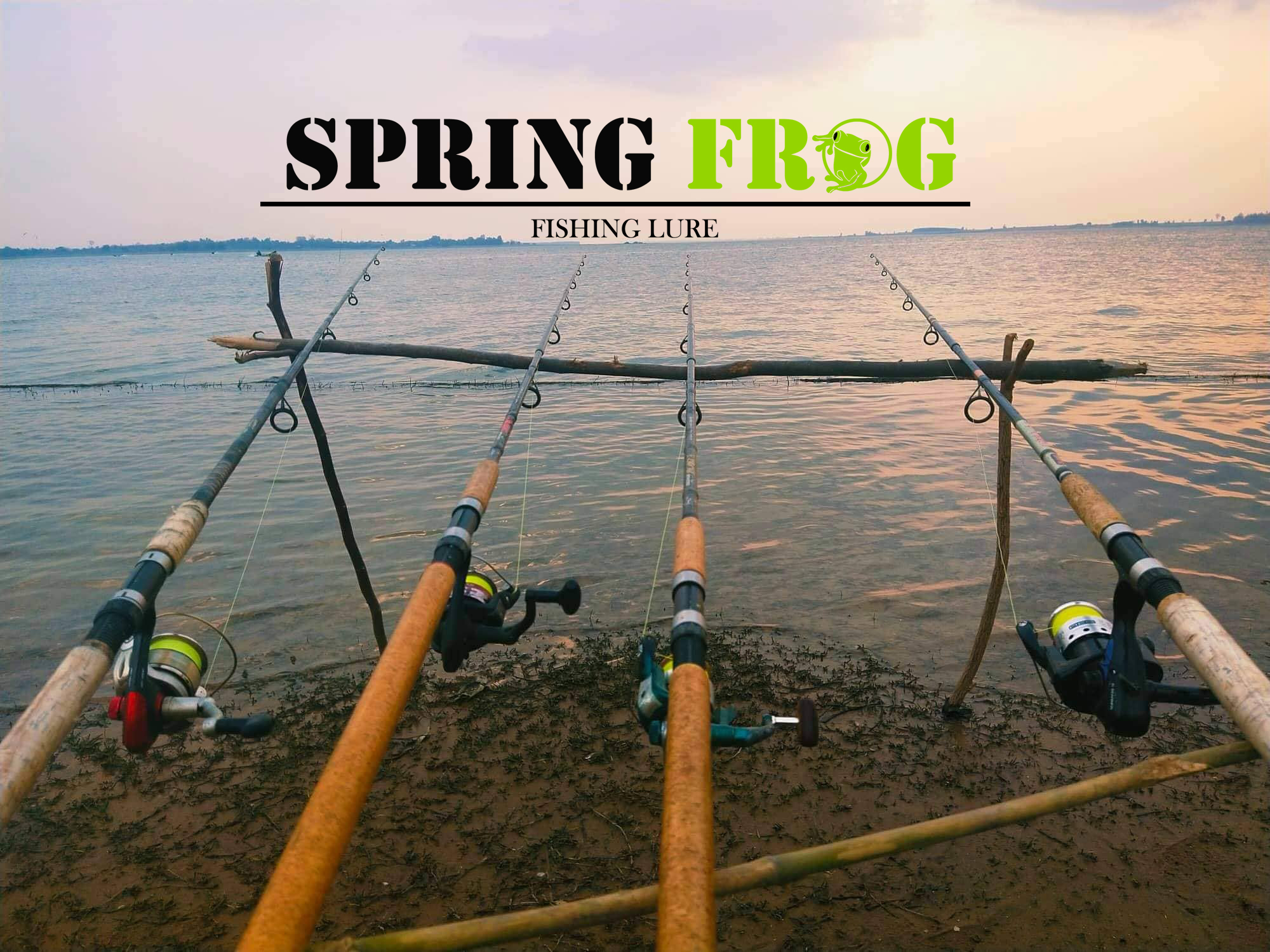 SPRING FROG