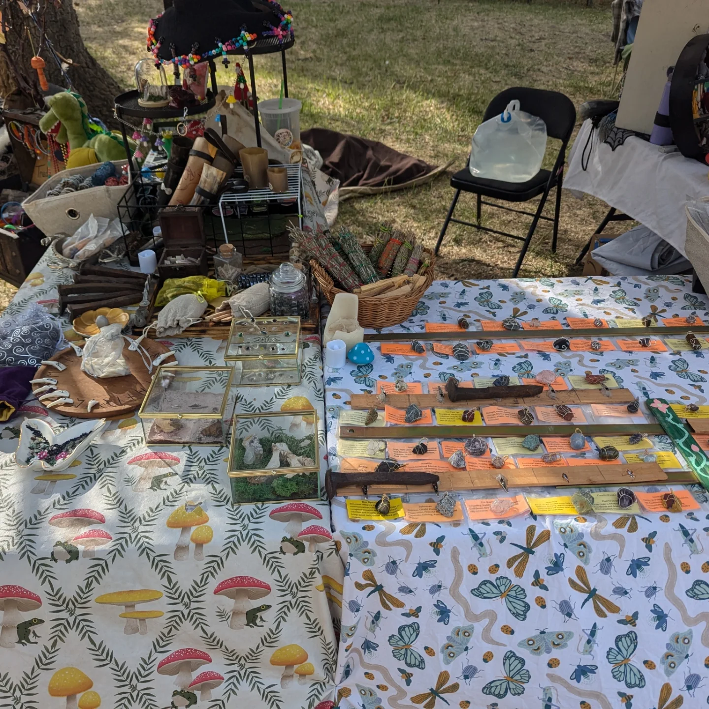 Lunar Rabbit Metaphysical | Albuquerque NM