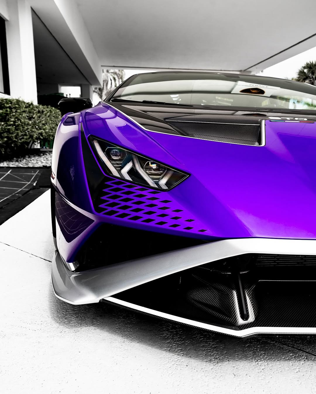Where to buy Tardis Lamborghini SVJ in purple, violet, or red?
