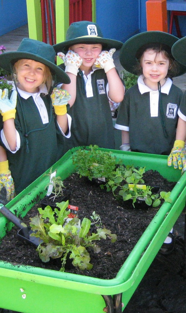 We are enjoying lots of... - Holy Cross School Wooloowin | Facebook