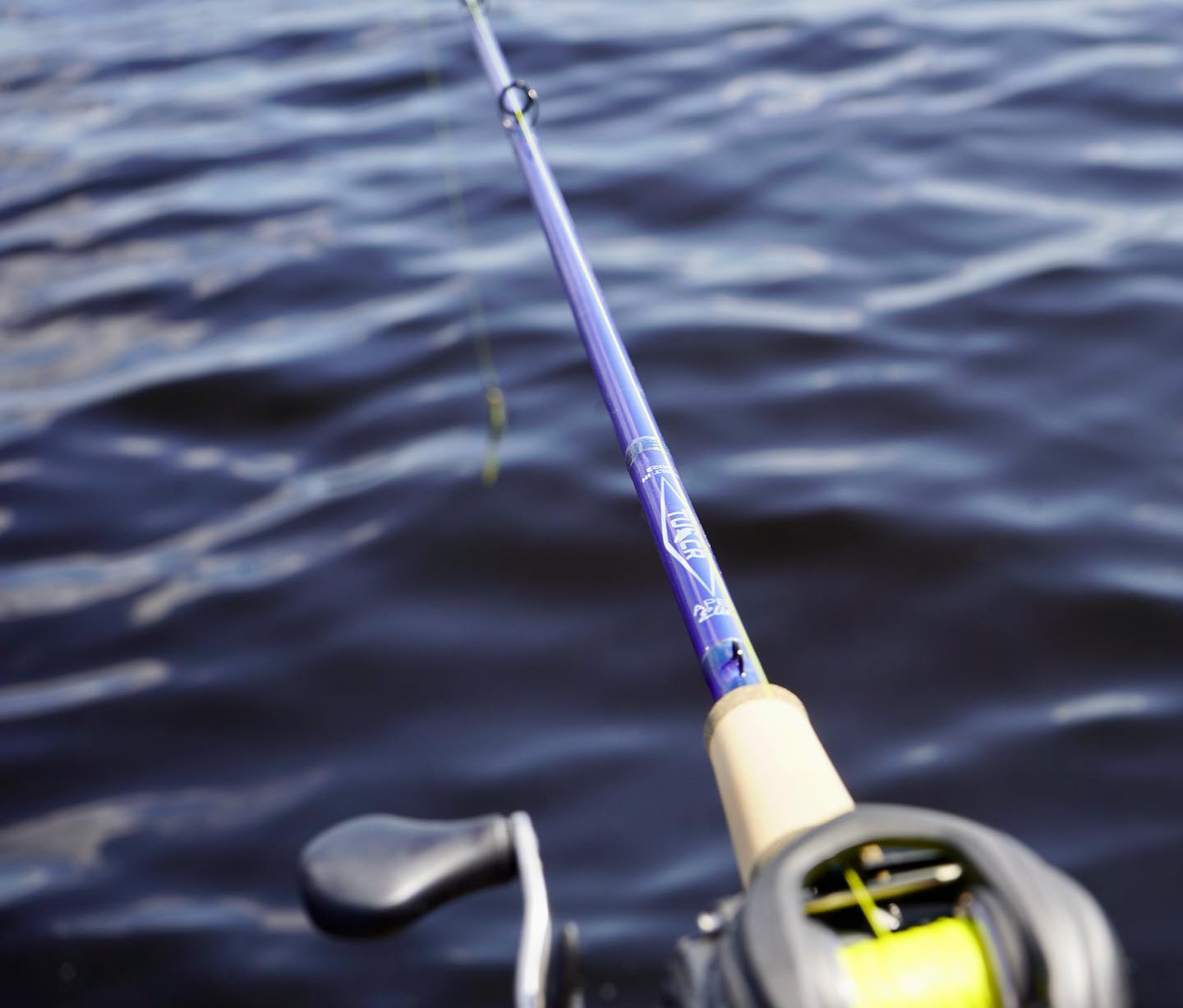 best baitcast rod for texas rig Fishing Near Me The Best Baitcasting Rods of