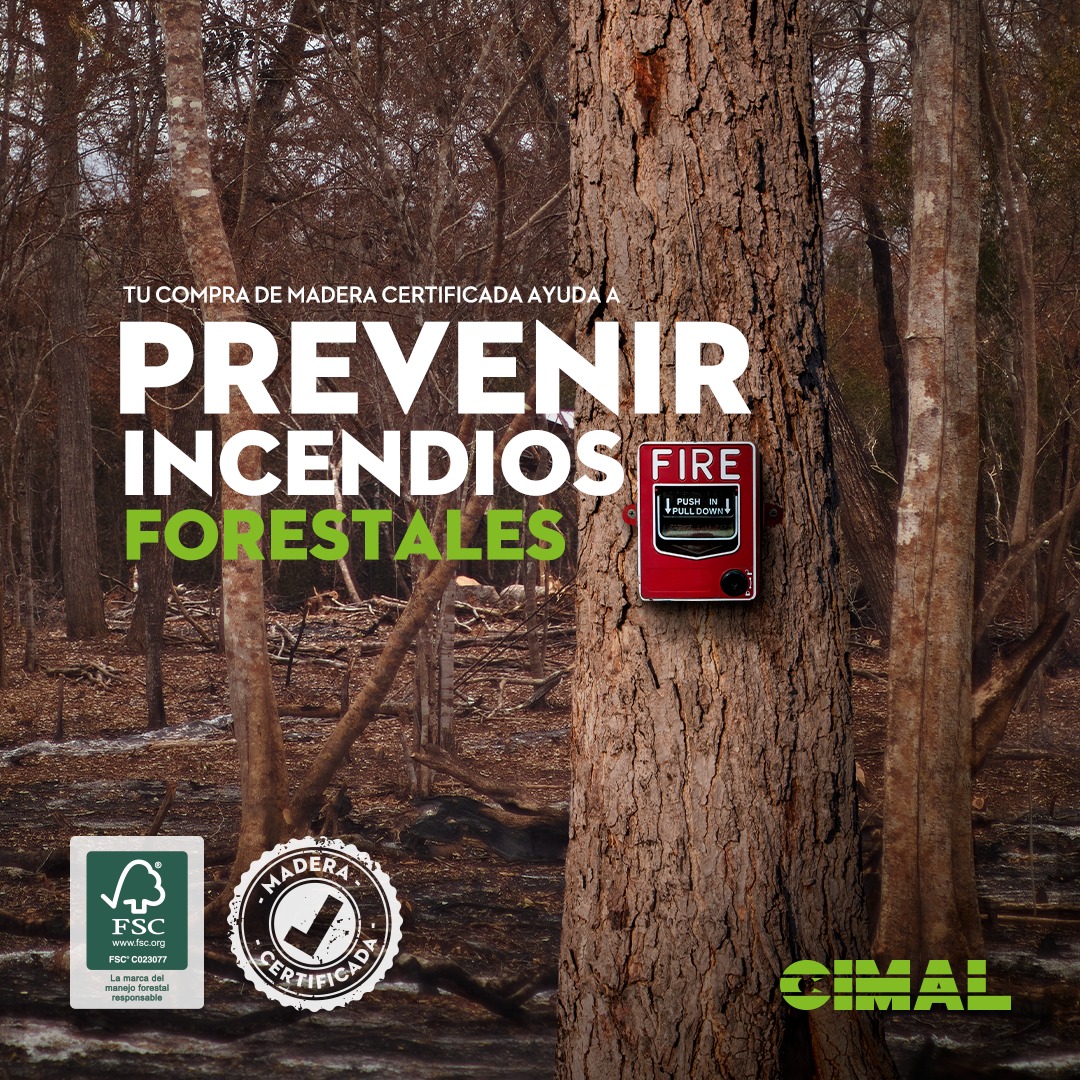 Cimal - ¿Sabías que al comprar madera certificada estás...