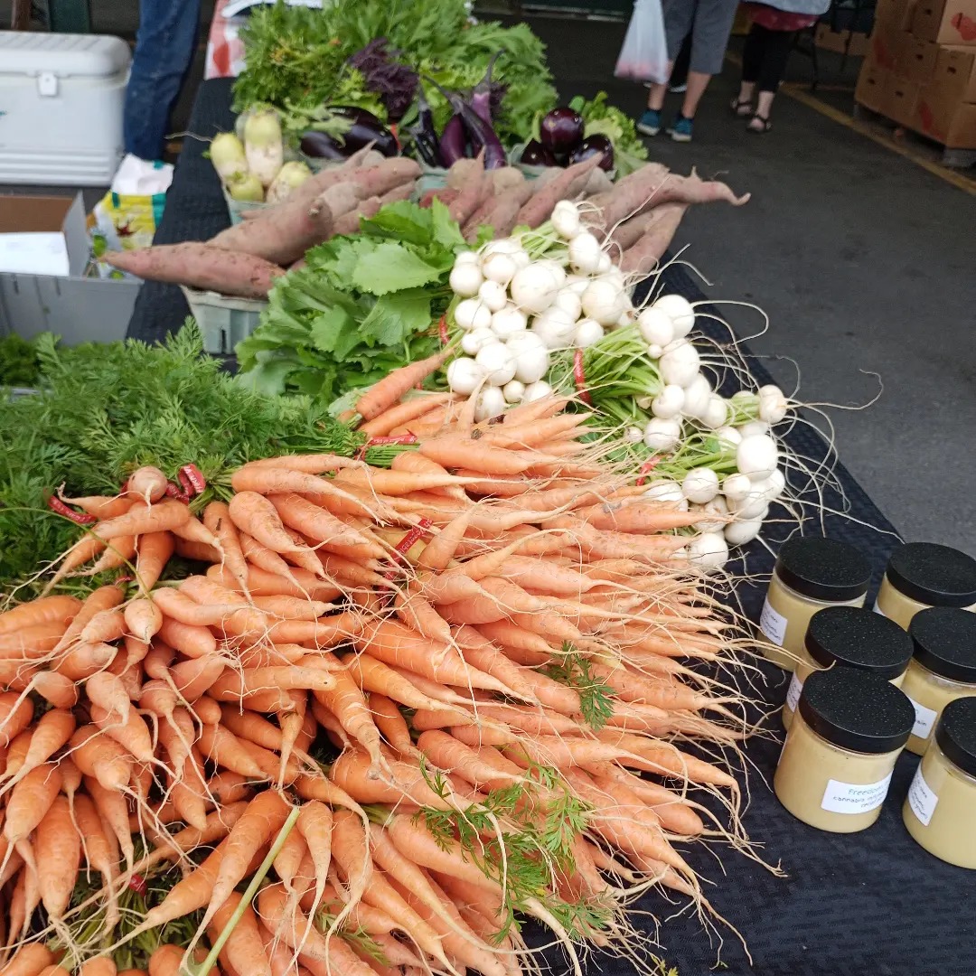 Freedom Rains Farm | Pulaski NY