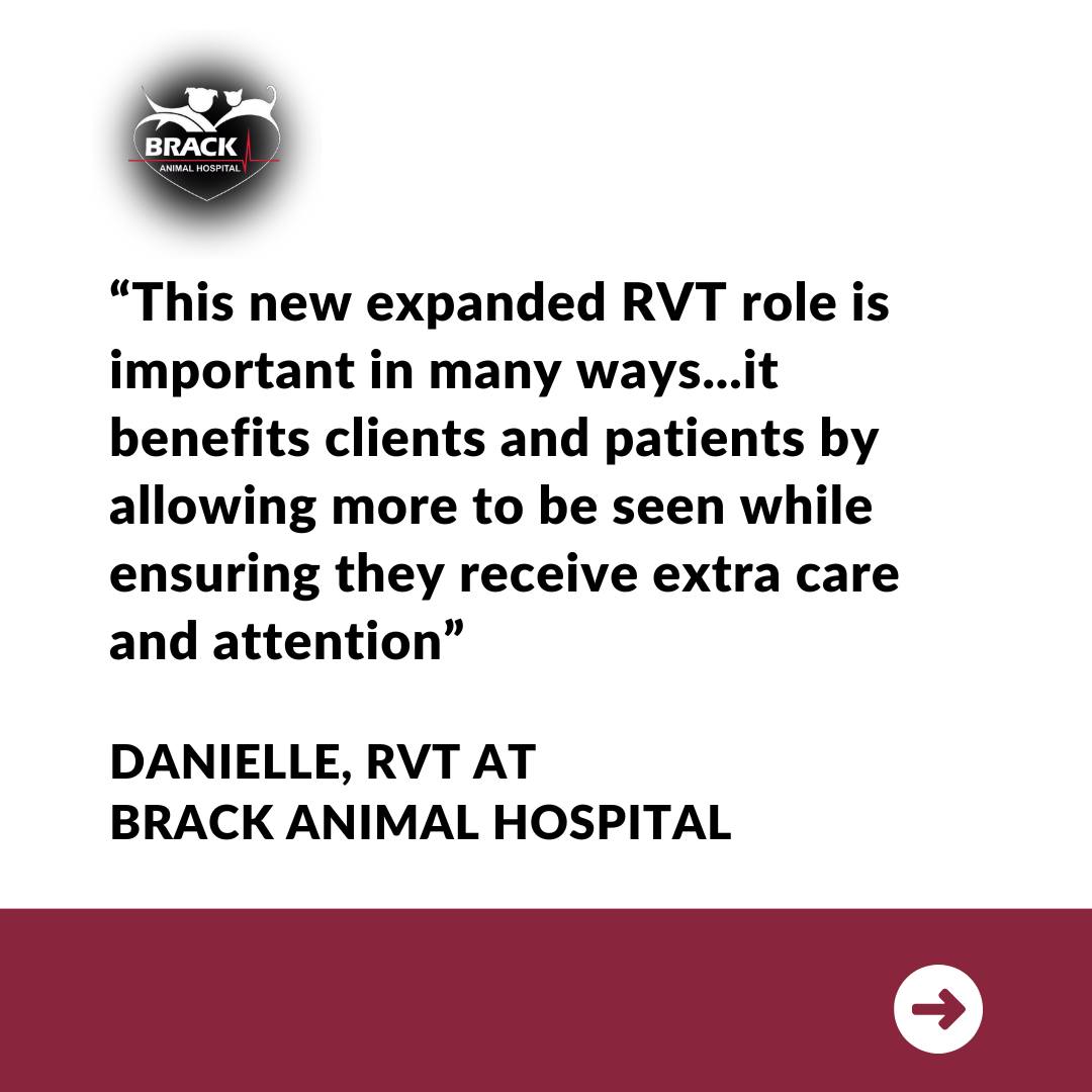 Brack Animal Hospital | Windsor ON