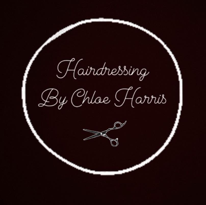 Mobile Hairdressing By Chloe Harris Southampton
