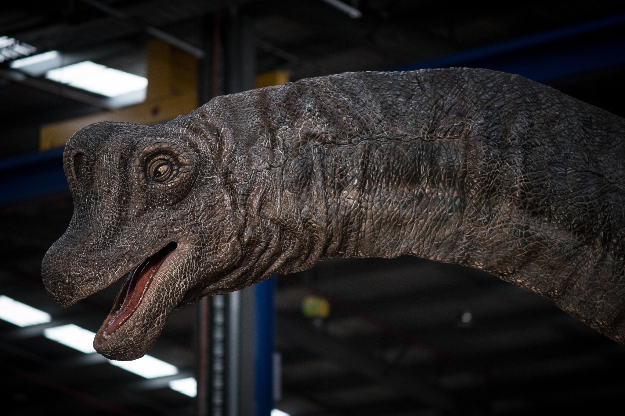 brachiosaurus in a fisher's net 2003 Jurassic World Figure: 28-inches High and 34-inches Long (71.12 cm x 86.36 cm) with Authentic Sculpting, Articulation, Color & Texture, Brachiosaurus | Jurassic Park Wiki