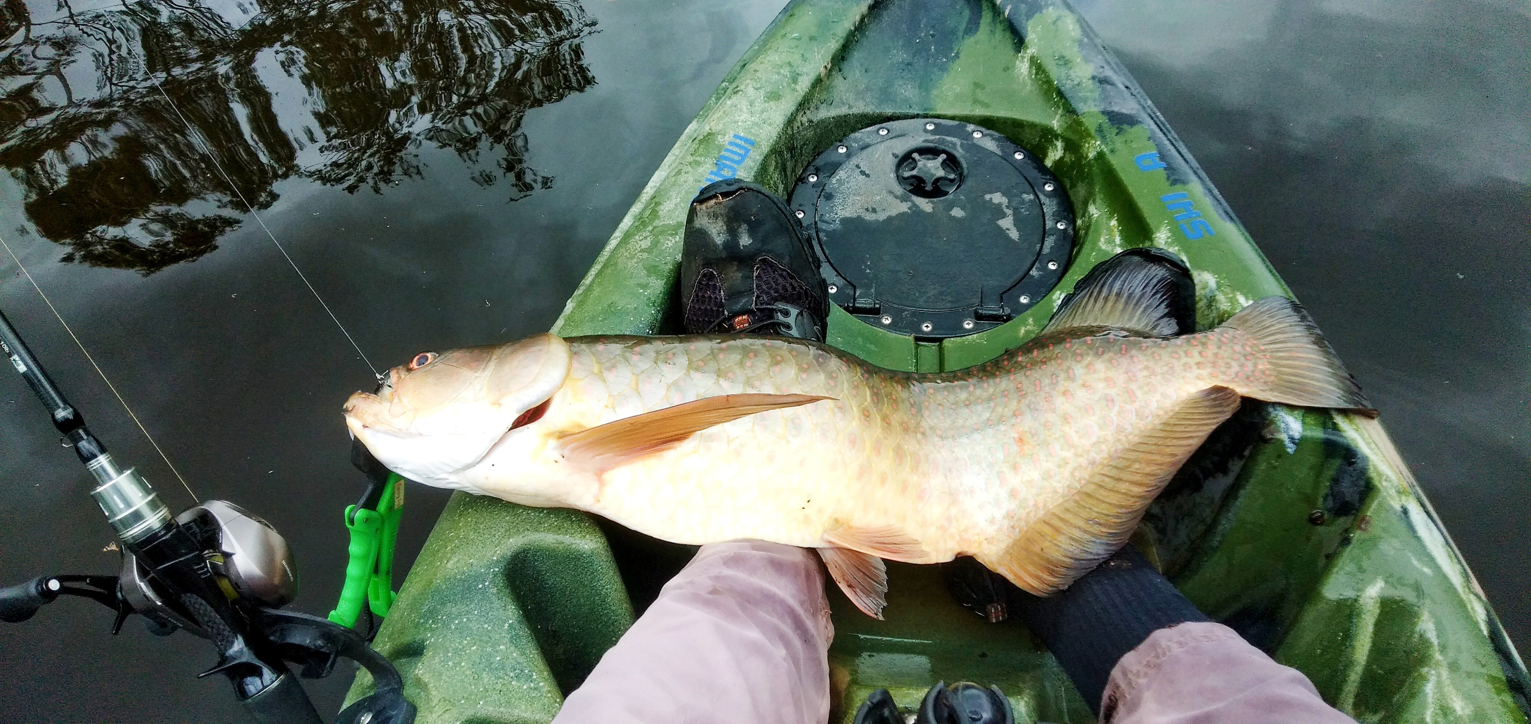 coromon fishing pole BnM Capps and Coleman Trolling Rod 14ft 3 sec The all new Fish Armor Pro Pole how high is the percentage