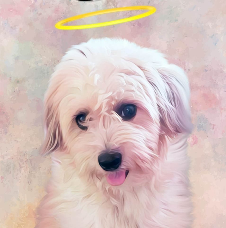 Please continue to protect us, Lord. #TyphoonUpdate #TyphoonUwan # ...