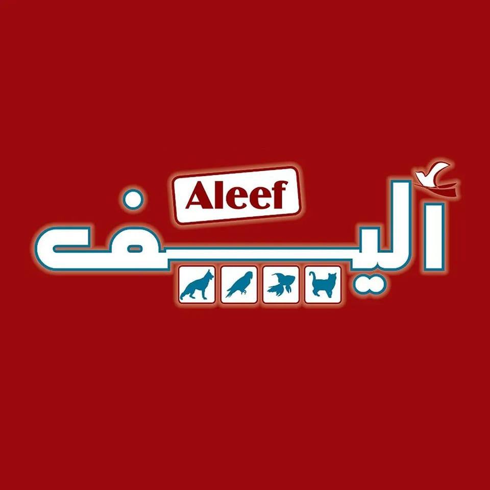 ‎الصفحة... - الصفحة الرسمية لـ أليف - Aleef 's Offical Page