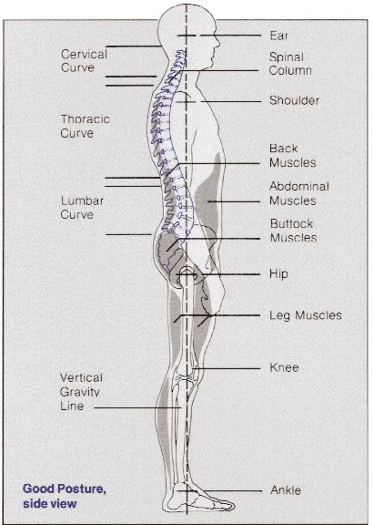 Physiotherapy - Learning time # posture
