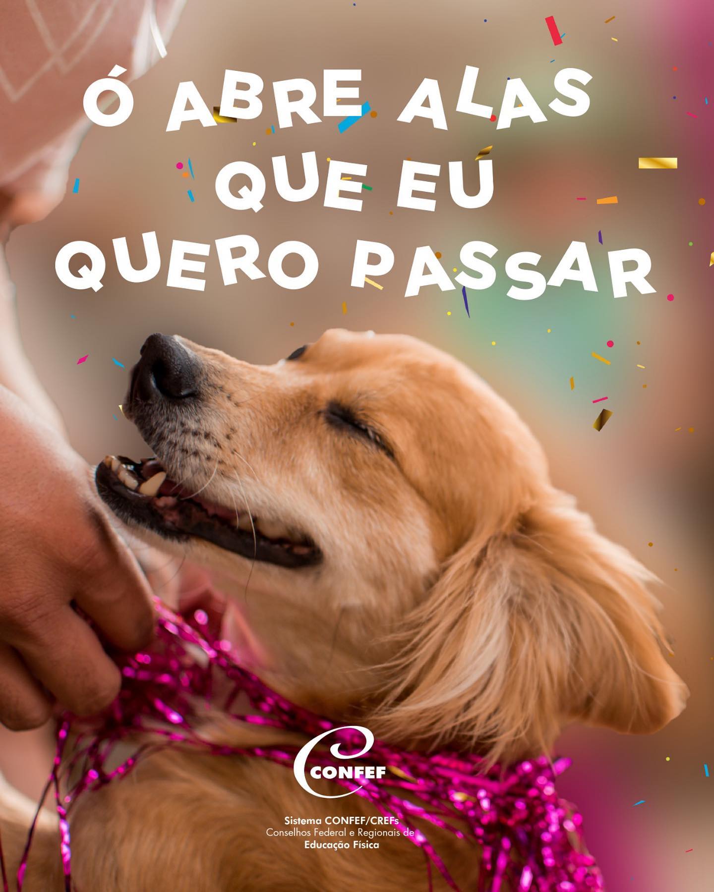 🎊... - Conselho Federal de Educação Física - CONFEF