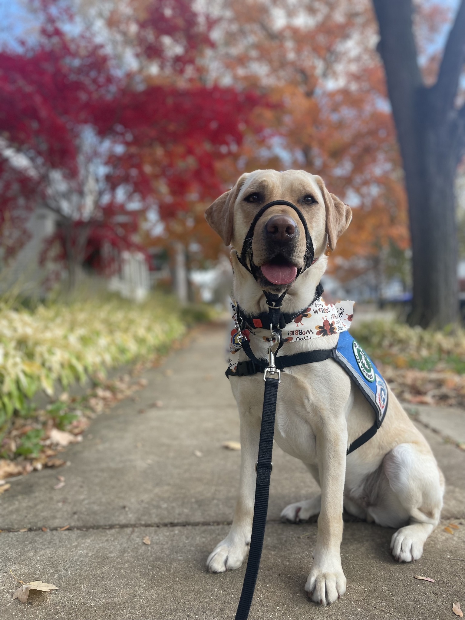 Jasper's Java - Meet our April Pet of the Month - Feta!!!... | Facebook