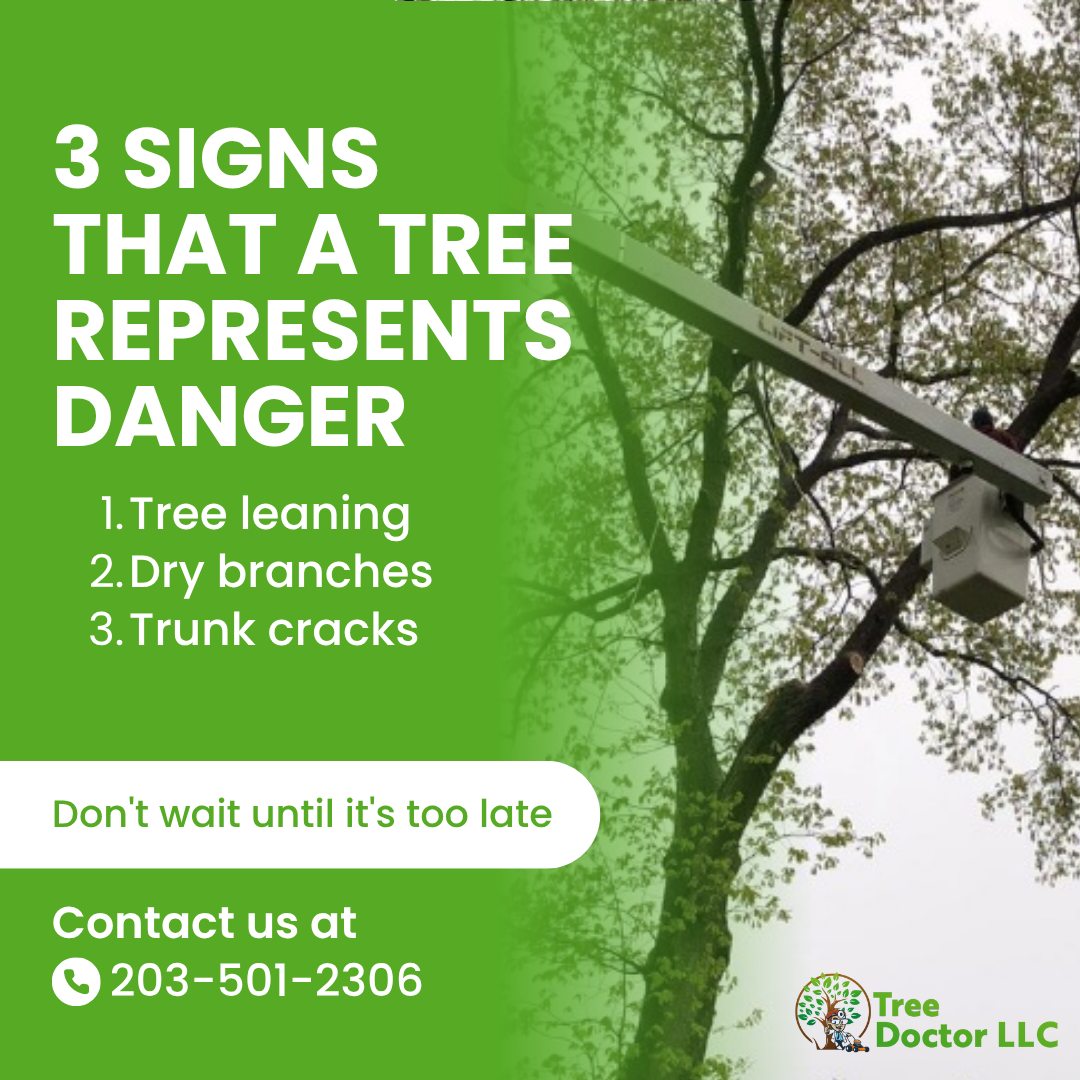 Tree Doctor LLC