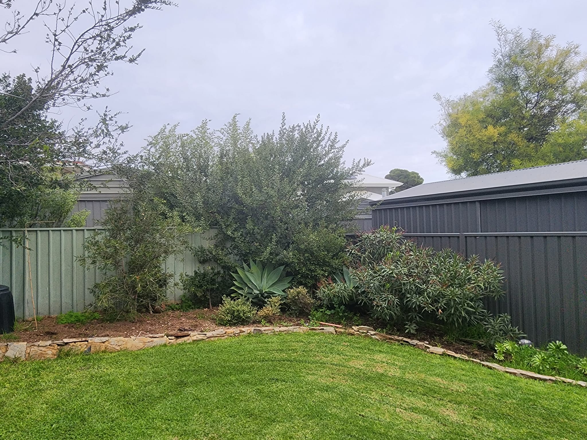 TJA Trees | Adelaide SA