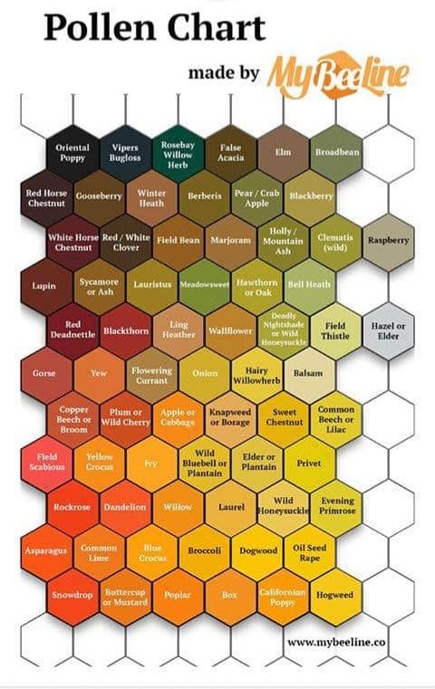 Did you know that there was a pollen... - Beeswax Scotland | Facebook