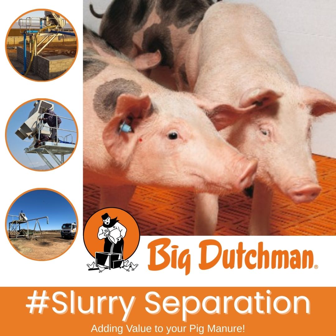 Big Dutchman Southern Africa - Here at Big Dutchman Pig Production, we ...
