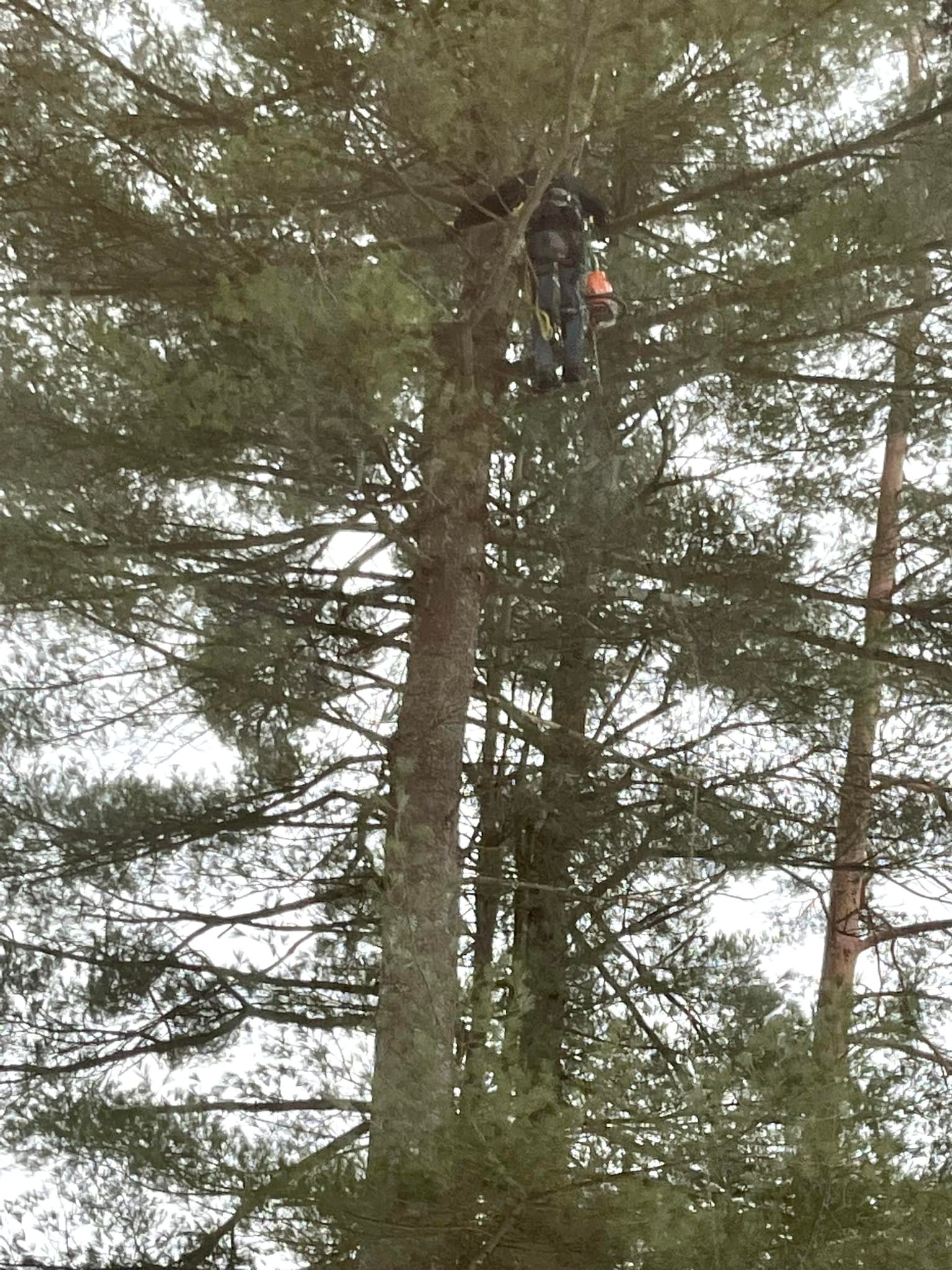 Tree Top Techs, LLC | Ballston Spa NY