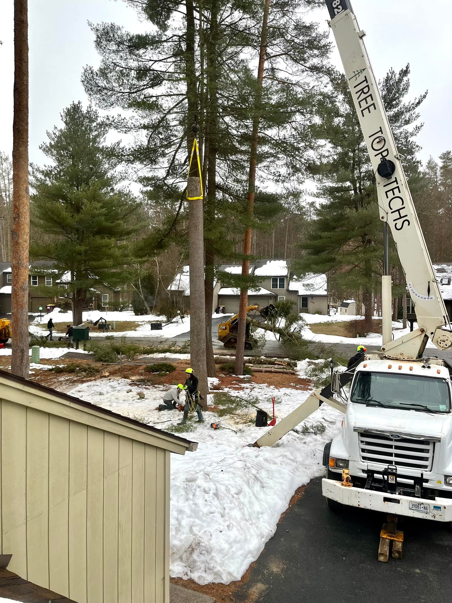 Tree Top Techs, LLC | Ballston Spa NY