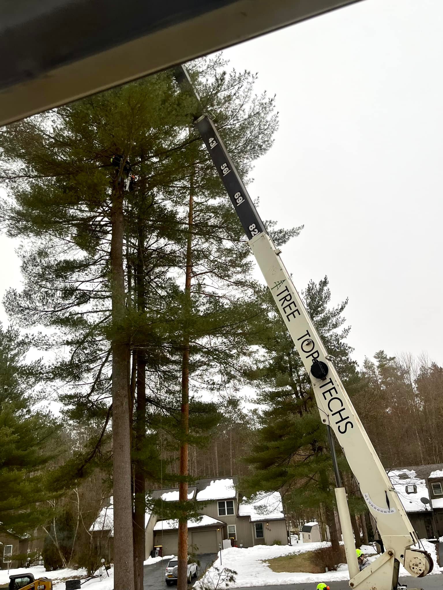 Tree Top Techs, LLC | Ballston Spa NY