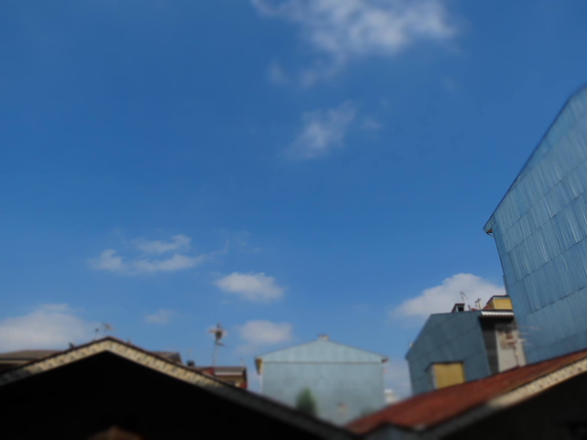 The_King_of_rasht