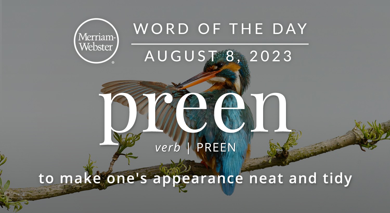 Merriam-Webster - The #WordOfTheDay is ‘preen.’ https://ow.ly ...