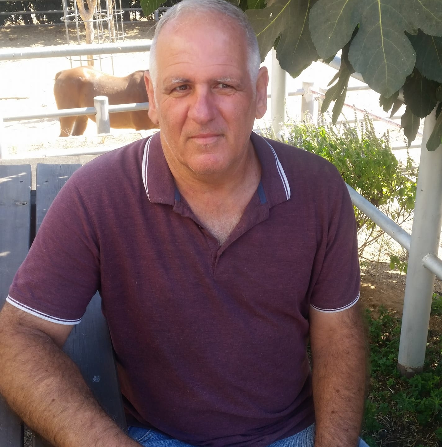 אדניום למכירה החלפה ומסירה | שבת שלום אדניום דוגמן | Facebook