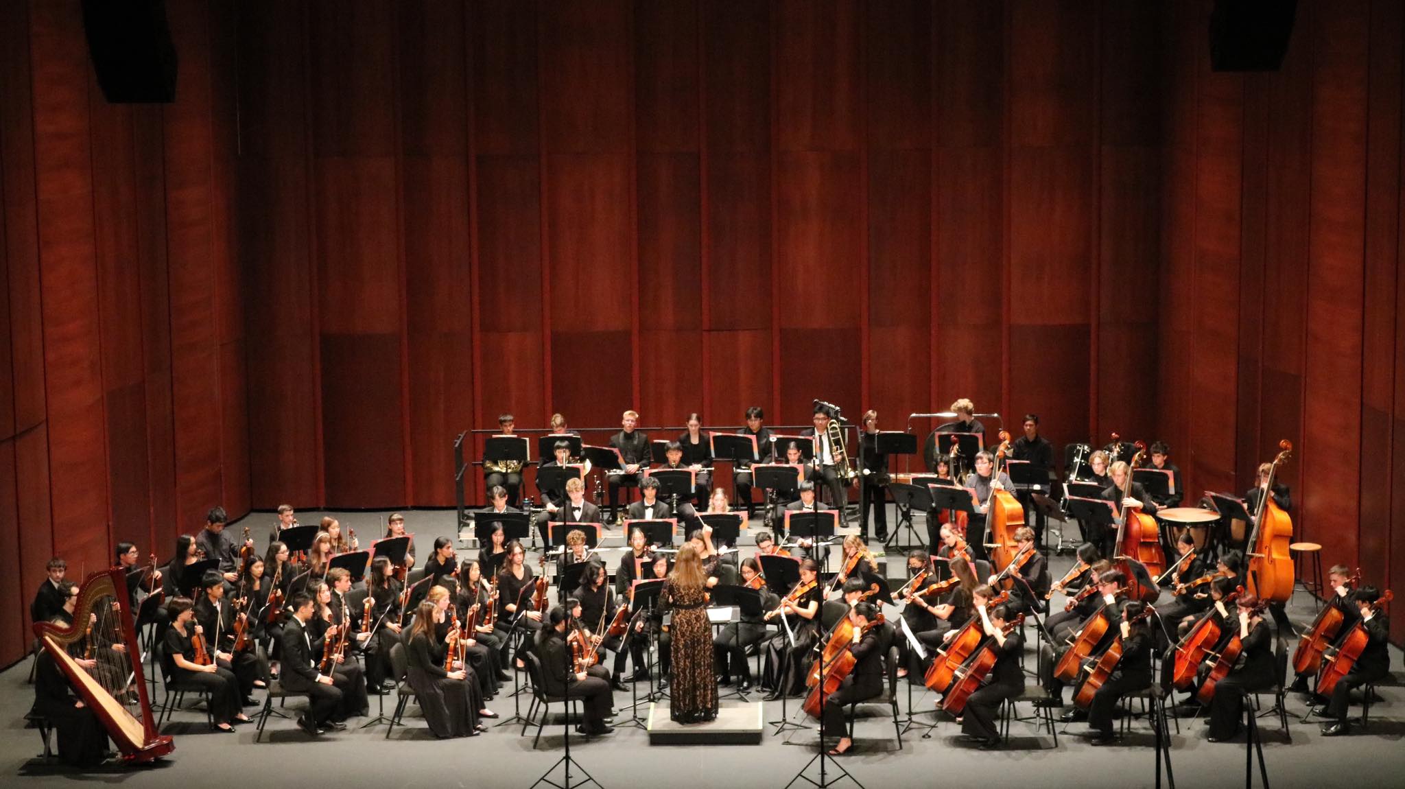💜💛 The MSO is currently... - Manassas Symphony Orchestra | Facebook