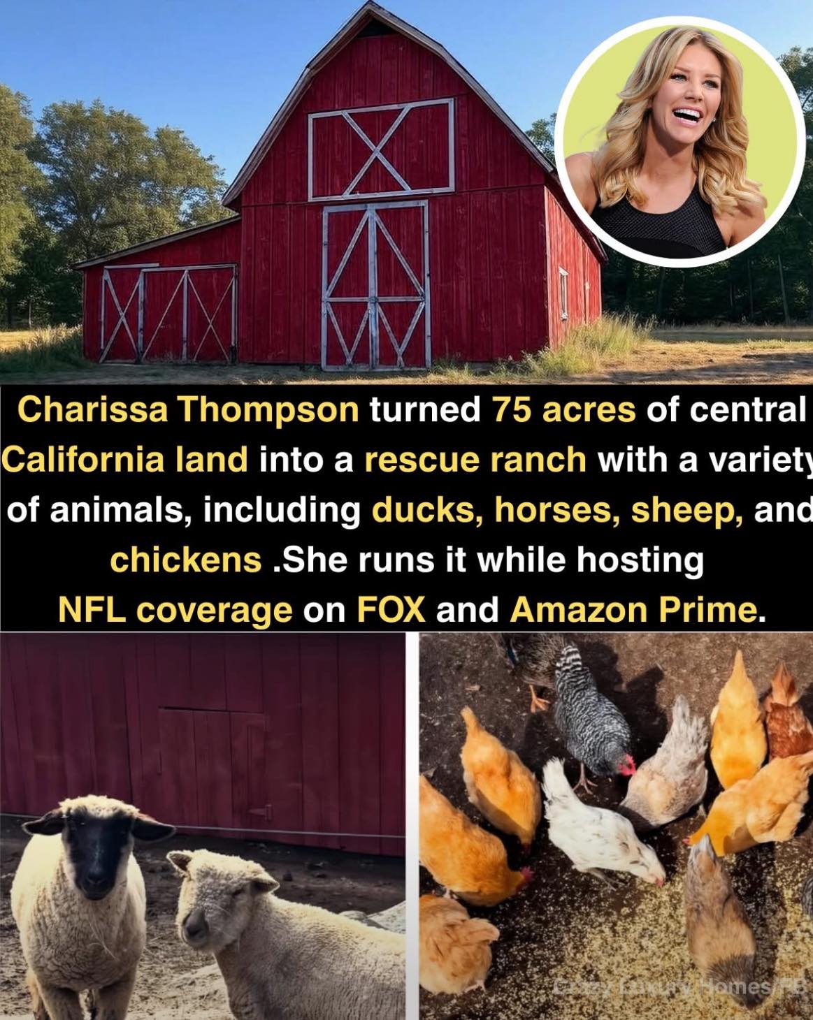 Wellness - Charissa Thompson transformed her 75-acre, $1.4 million Ruby ...