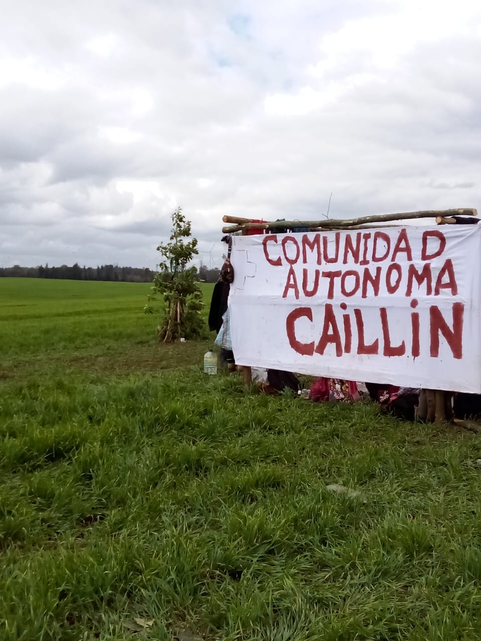 Newen Che - 🔵 Urgente, Collipulli. Mediante: Kalfu... | Facebook