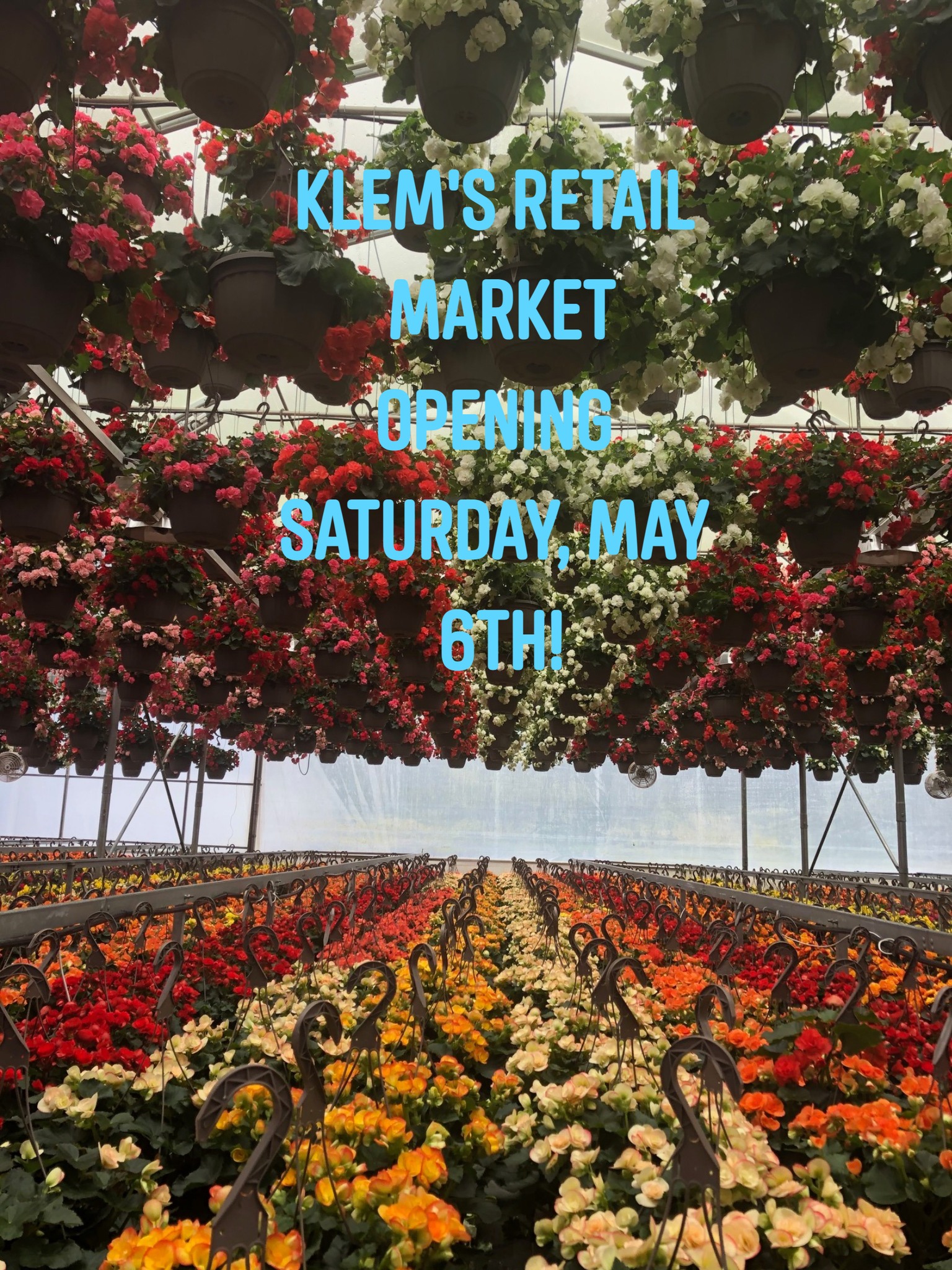 Klems Greenhouse | Redmond WA