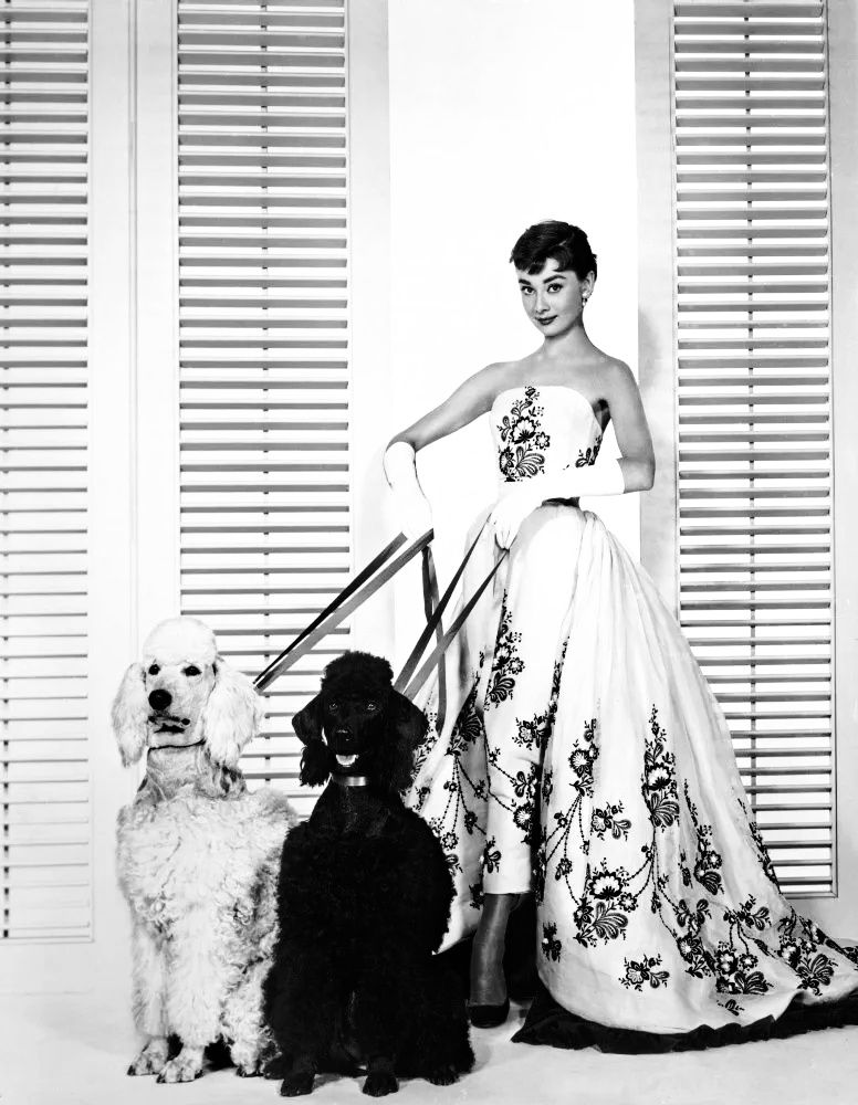 The sublime Audrey Hepburn in the famous gold embroidered gown by