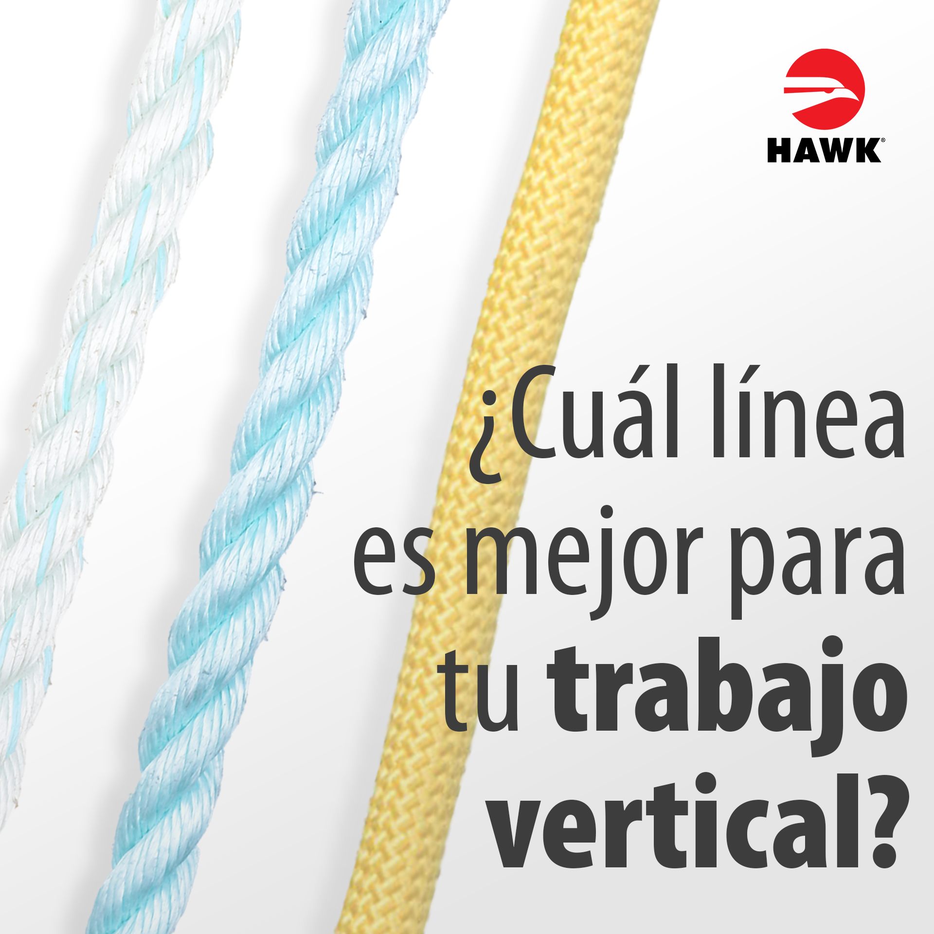 HAWK Fall Protection | Zapopan
