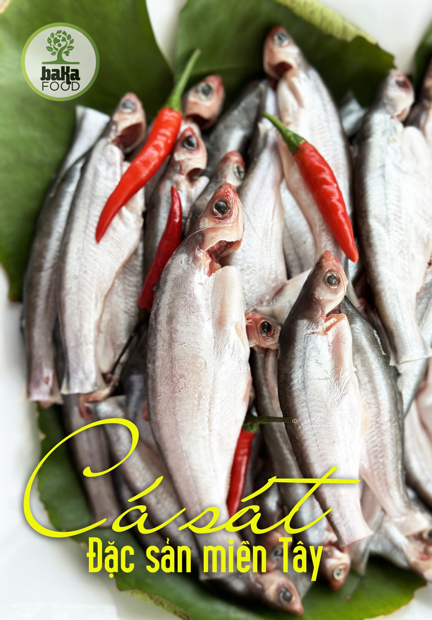 🐟 CÁ SÁT - ĐẶC SẢN MIỀN TÂY: VỊ NGON... - BaKa Đặc sản sạch