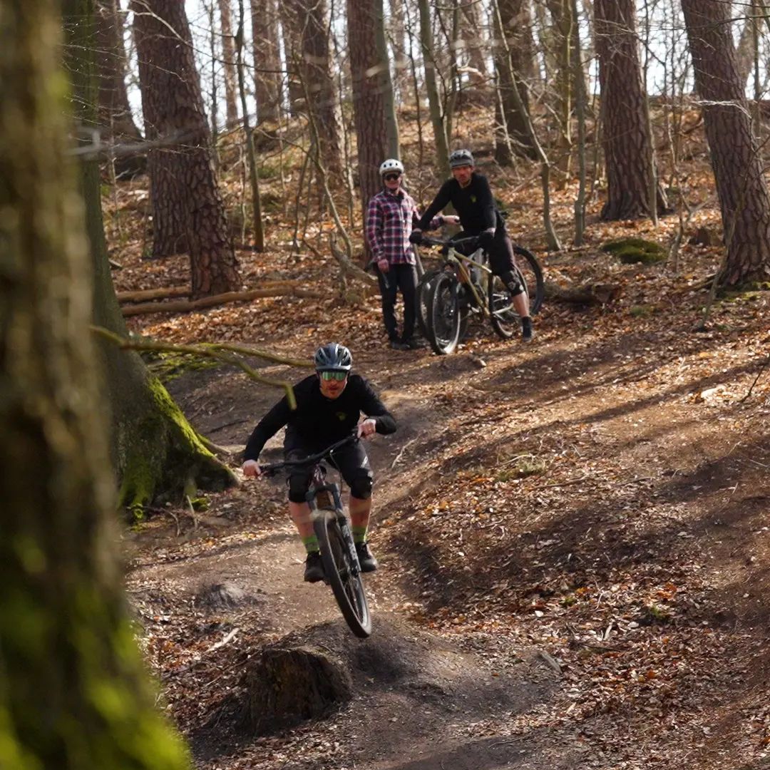 rockshox sattelstütze gefedert Reverb Stealth Vario-Sattelstütze 31.6 mm (Travel 125 mm) – flow-backfill Batter Size Options:32AH (2x YiWei 16AH) capacity Sattelstütze ATB ø30.0 mm