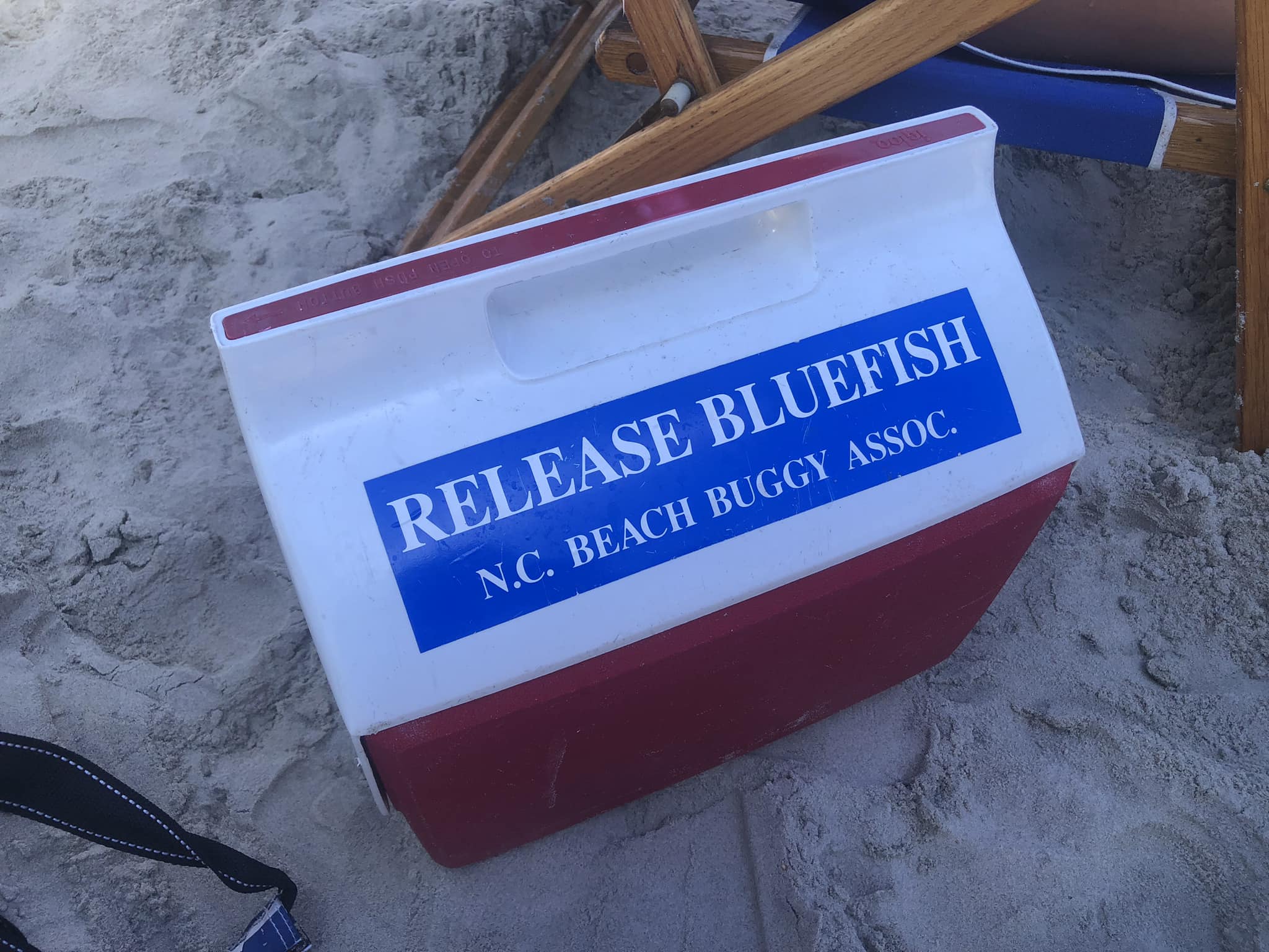 Who remembers... - North Carolina Beach Buggy Association