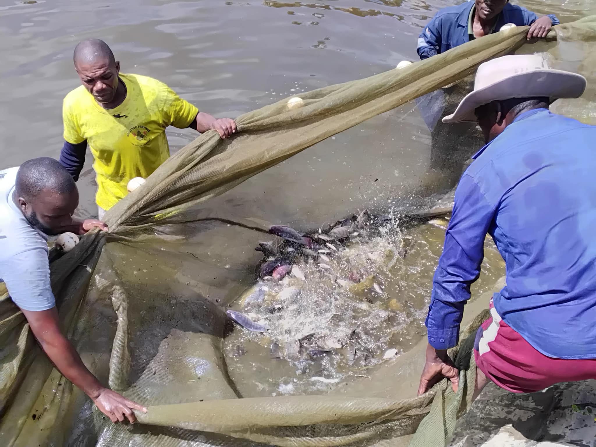 Department of Fisheries and Aquatic Resources, Zimbabwe | Harare