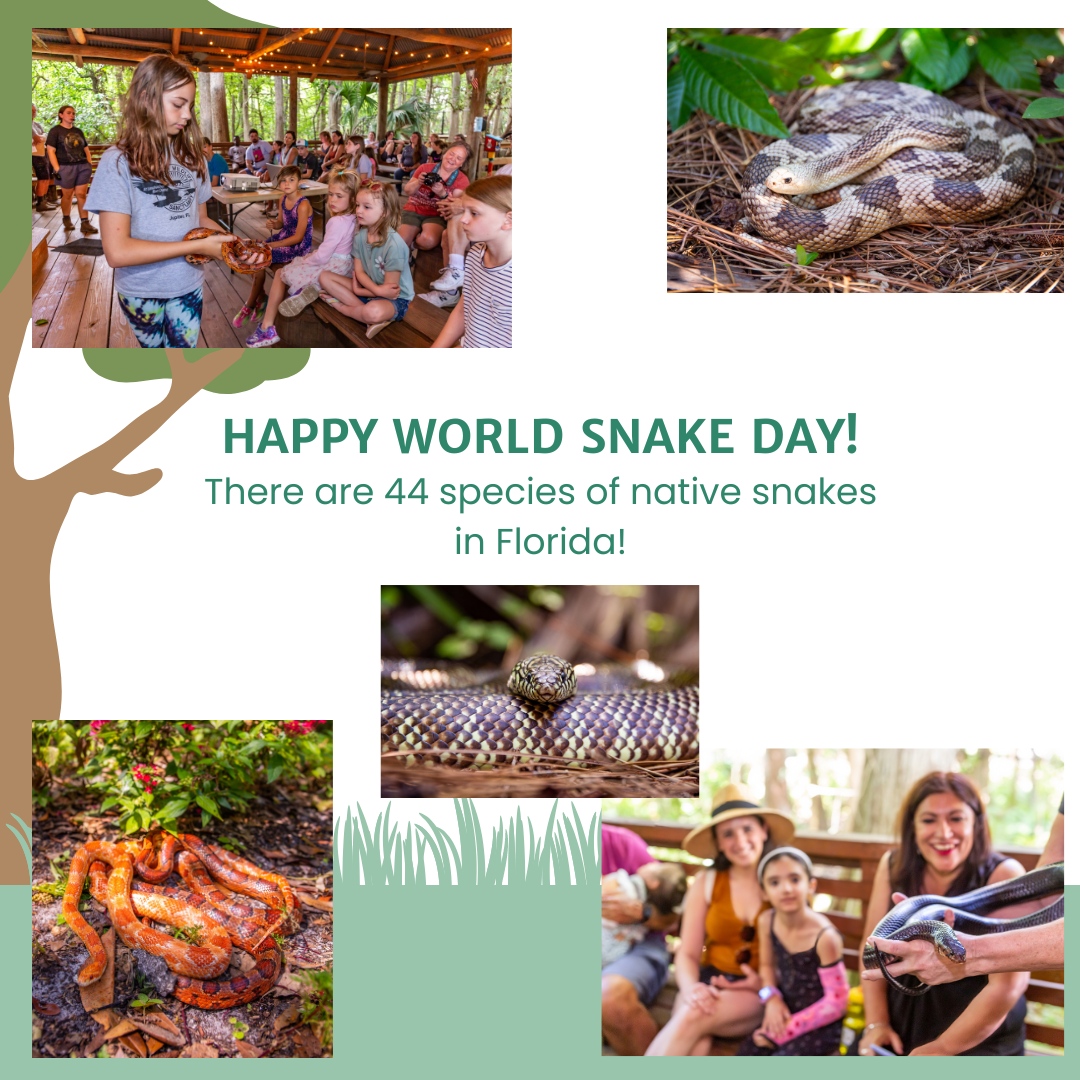 World Snake Day is July 16th.... - Busch Wildlife Sanctuary