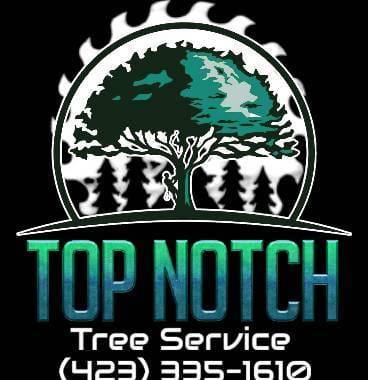 Top Notch Tree Service | Kingsport TN