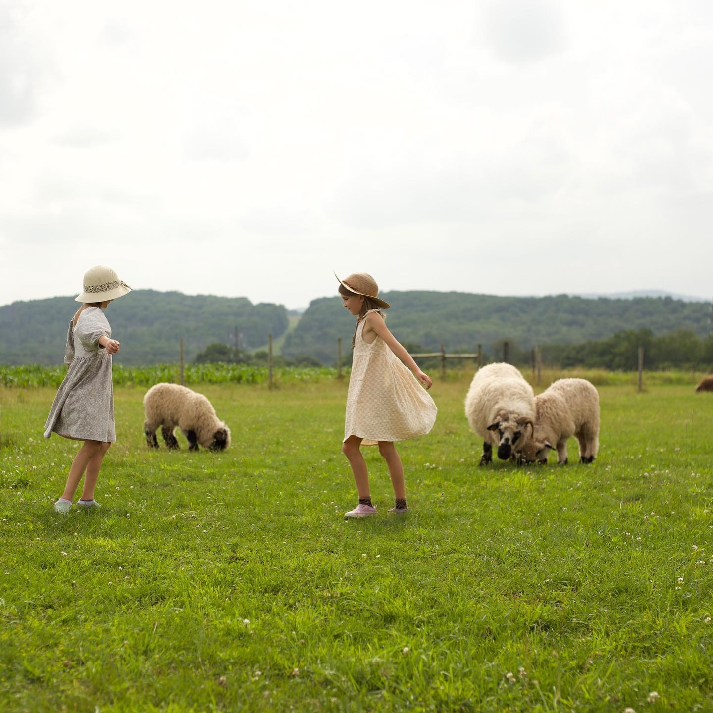 November Farms | East Greenville PA