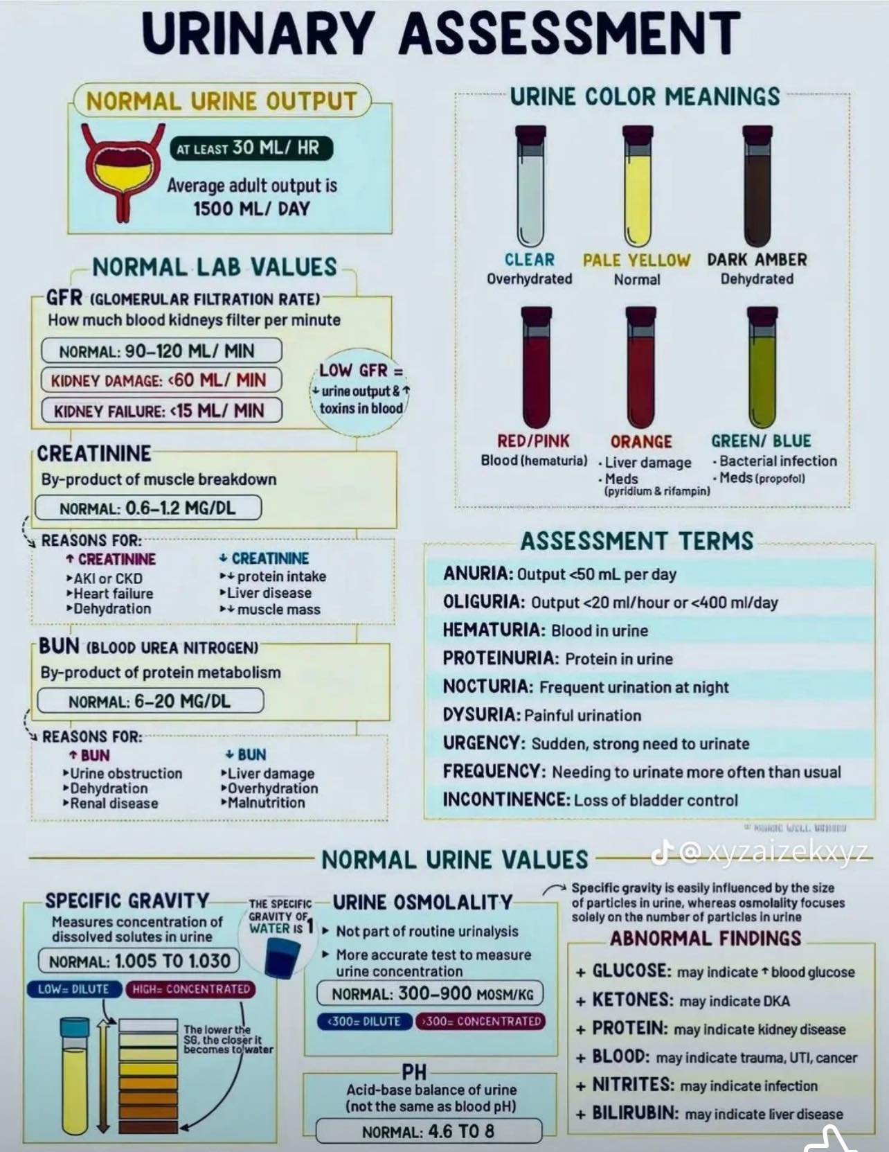 Sure - A urinary assessment is a comprehensive evaluation of a patient ...