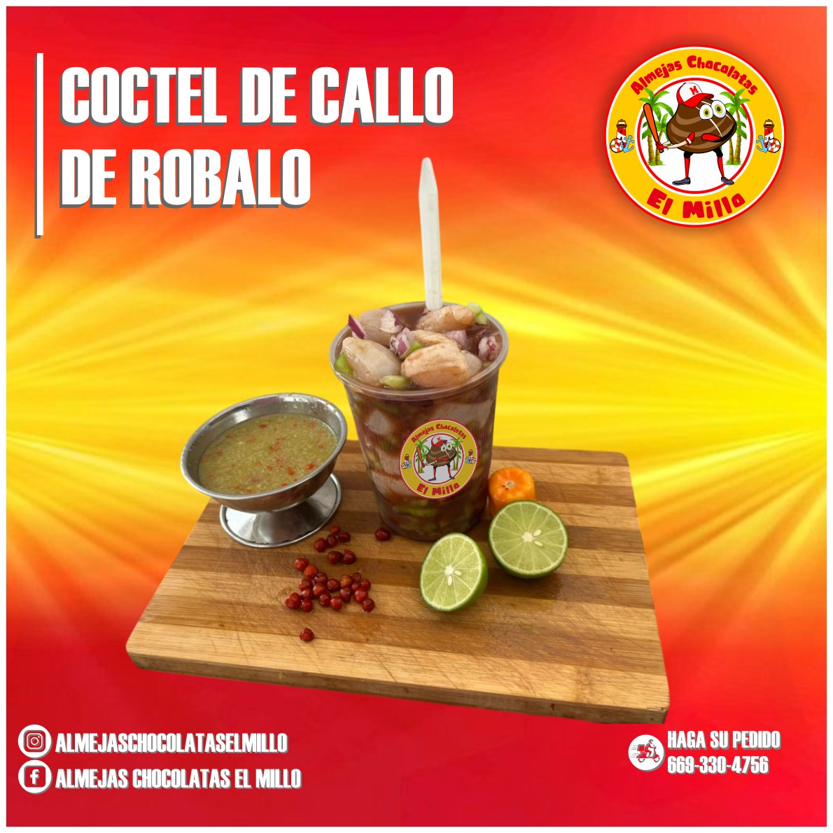 Almejas Chocolatas El Millo | Mazatlán