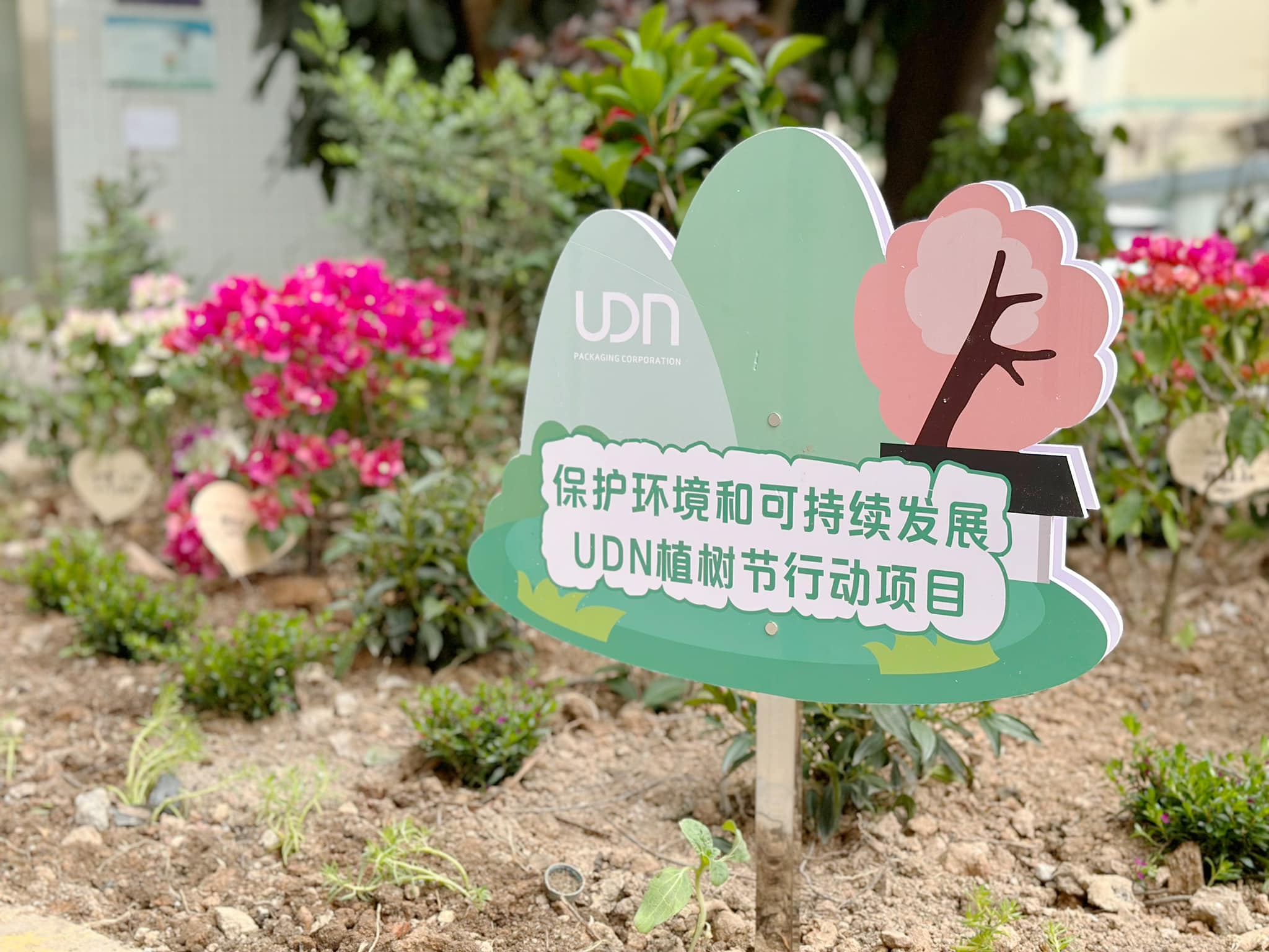 UDN Packaging - 在3.12國際植樹節之際，UDN組織了“認養一棵樹”活動，邀請員工及員工家人共同種樹🌱... | Facebook