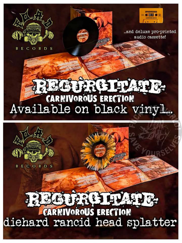⚡️RARE⚡️ SYPHILITIC VAGINAS complete studio collection LP rare