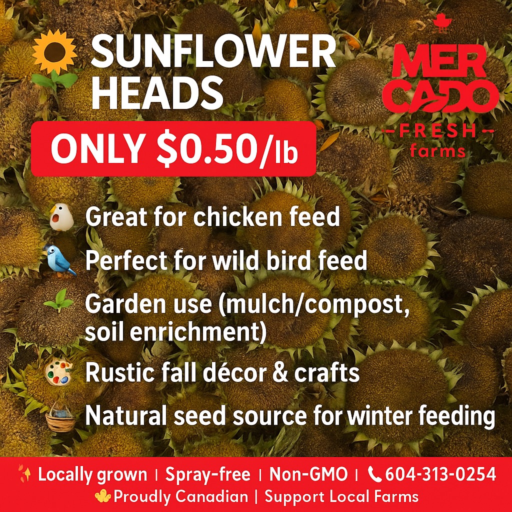 Mercado Fresh Farms