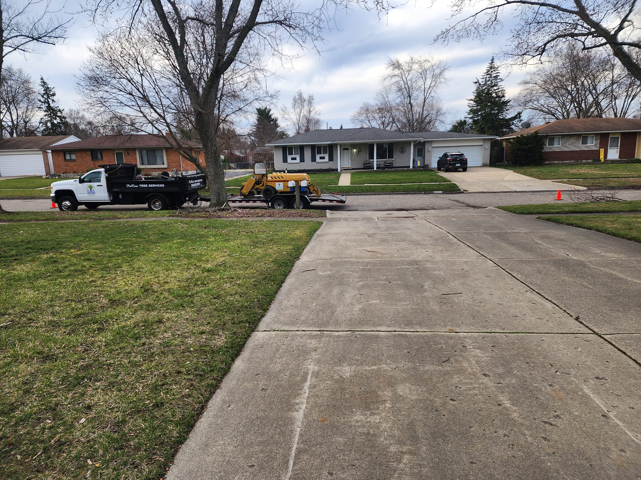 ProCare Tree services | Auburn Hills MI