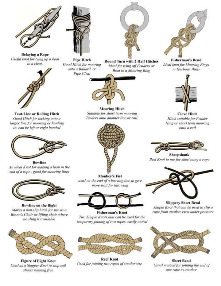 Cozy - Learning to tie ropes and understanding how to tie ropes #reel # ...
