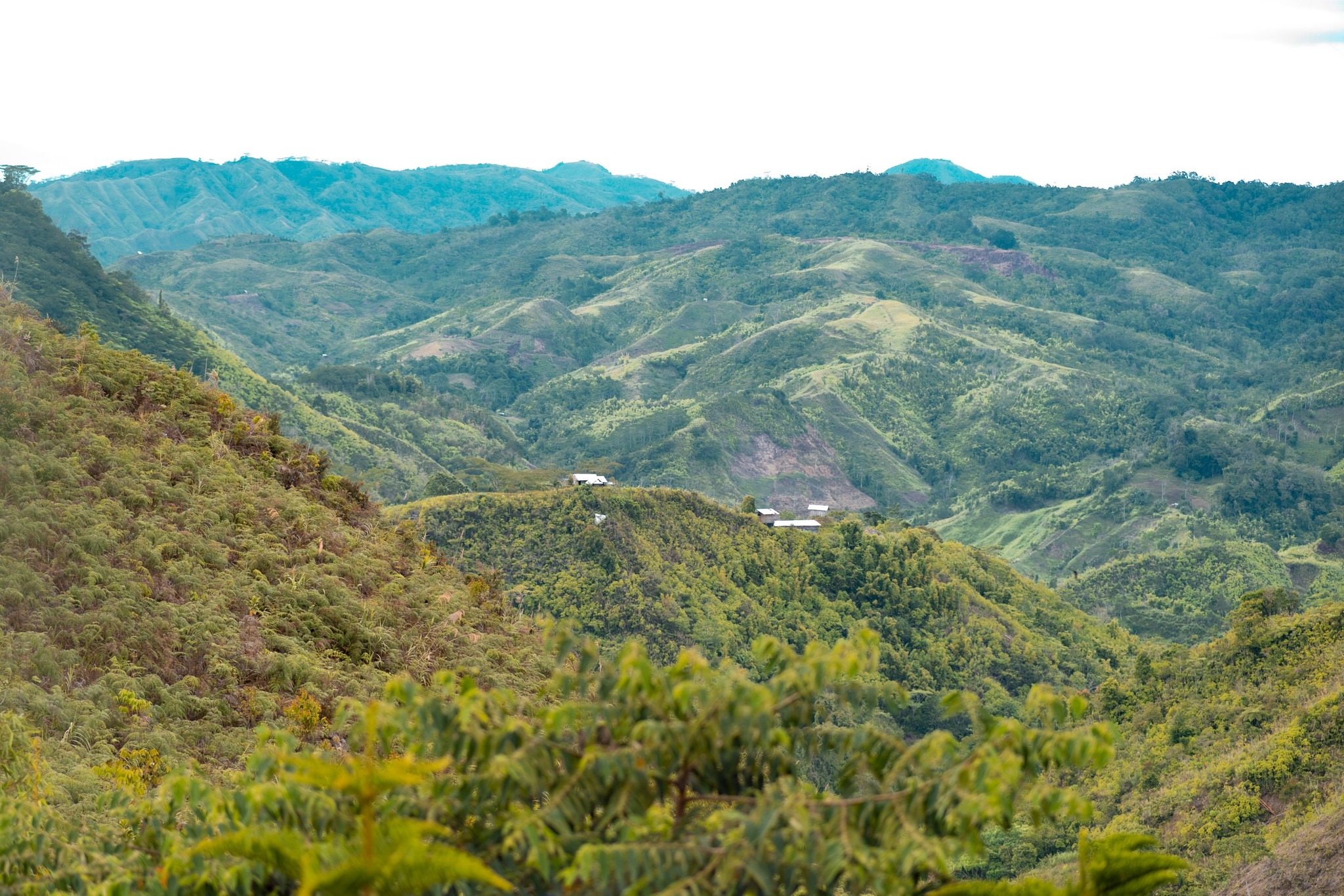 Lakbay Ni Papsikel