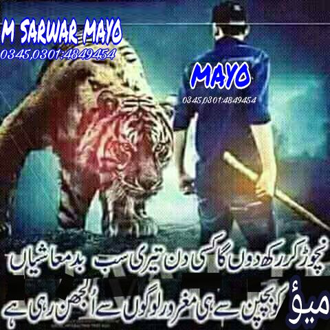Meo Rajput